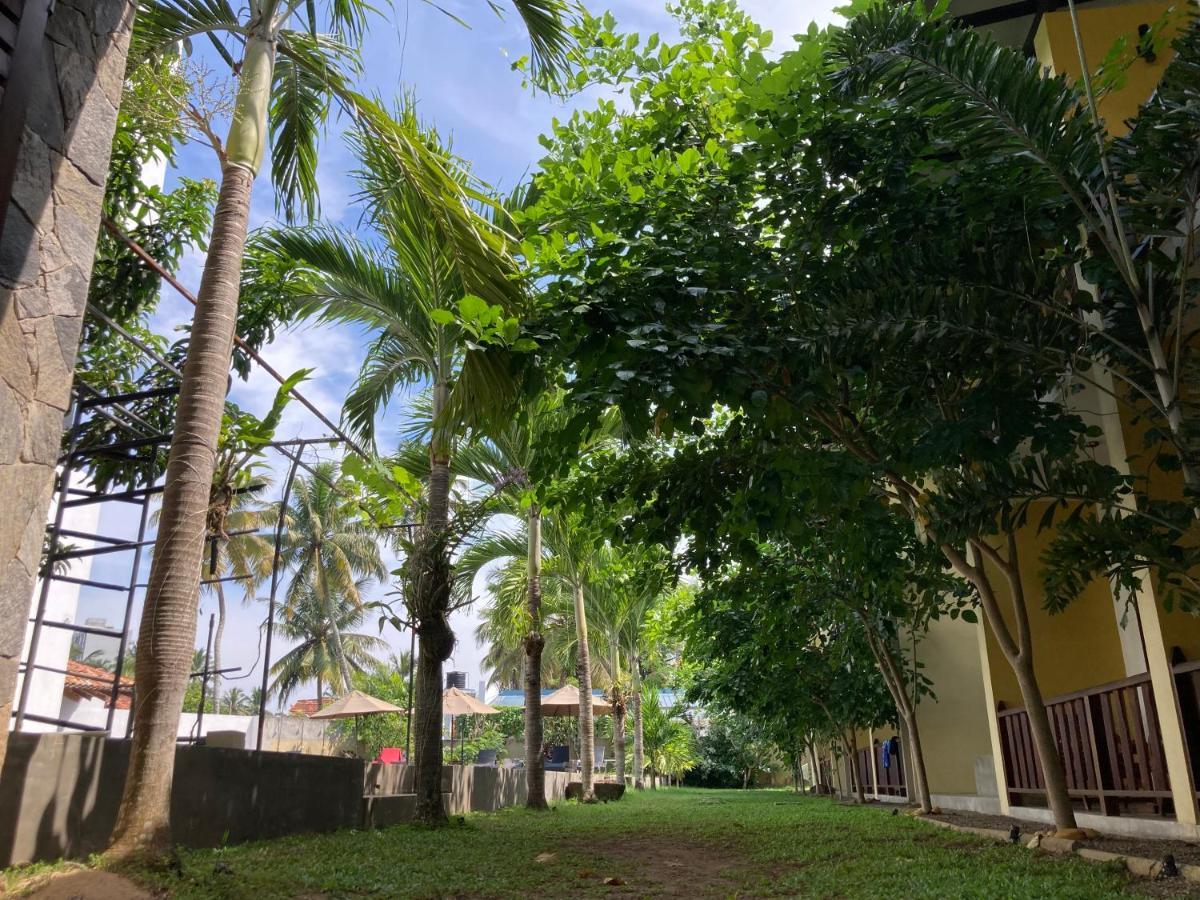 Handagedara Resort & Spa Mirissa Exterior photo
